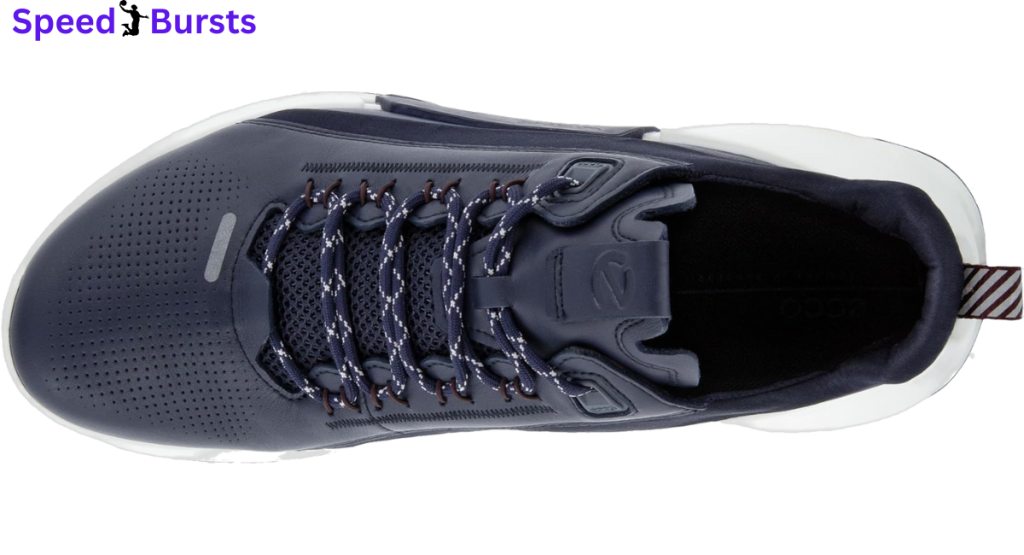 ECCO Men's Biom 2.0 Luxury Shoes Review 