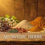 Ayurvedic Herbs for Bone Strength: A Natural Guide